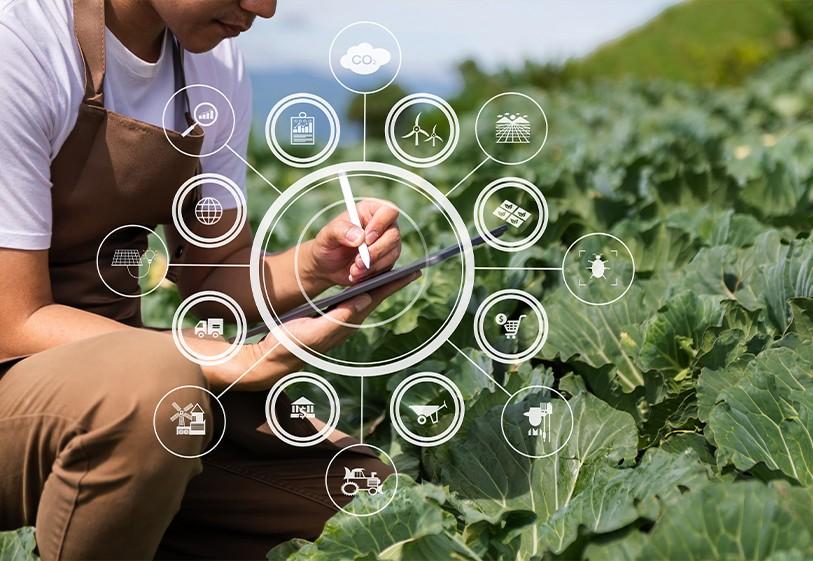 Agriculture